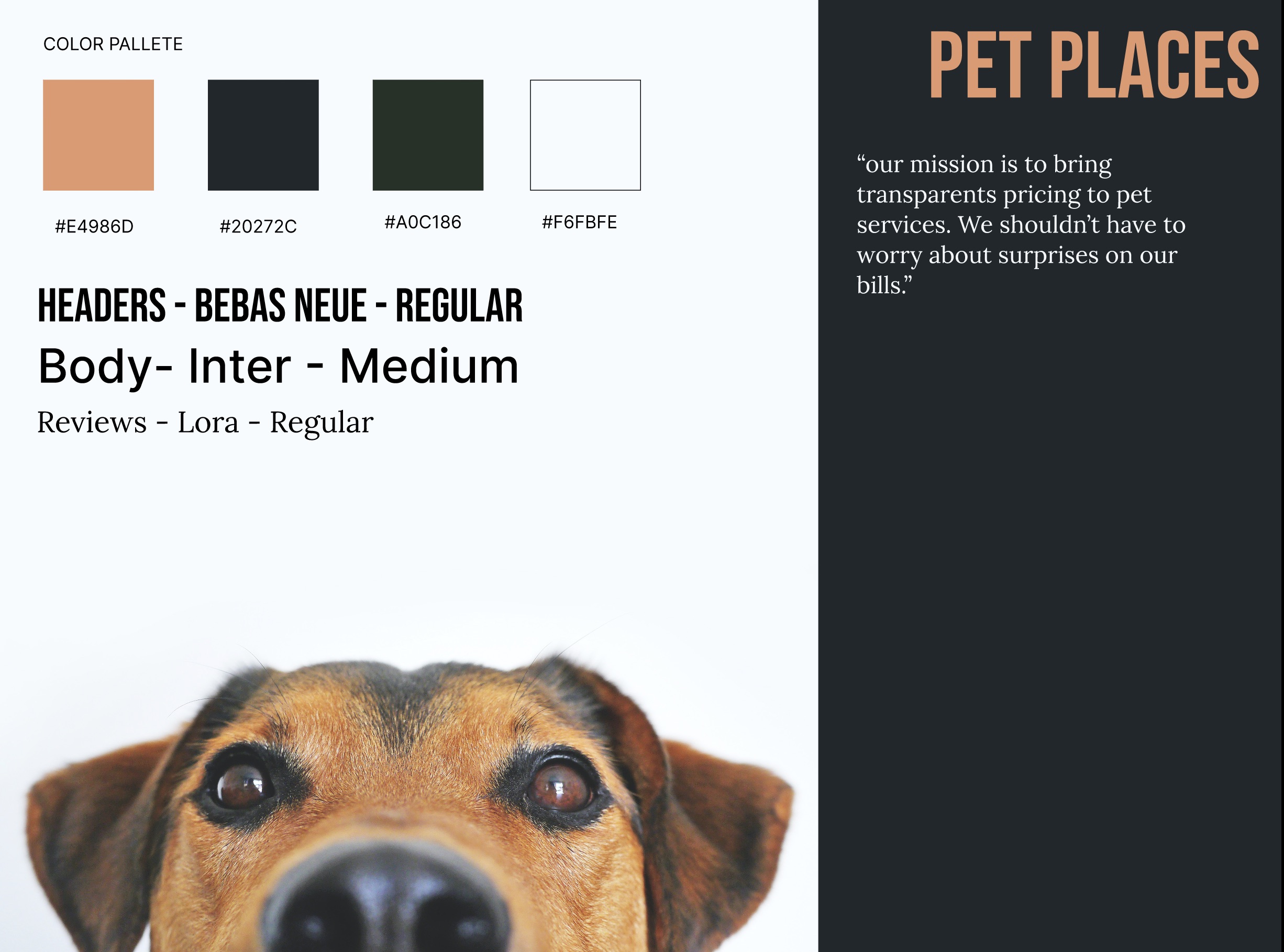 Pet Places project preview